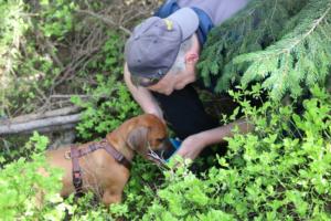 2018 Ausbildungswoche Arber